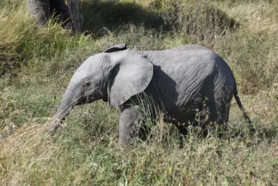 DSC_3877 (Large).JPG